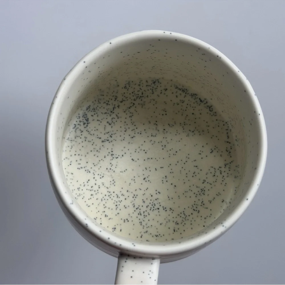 Starbucks Summer 2022 Cactus Floral Ceramic Speckled Coffee Mug -14 Oz